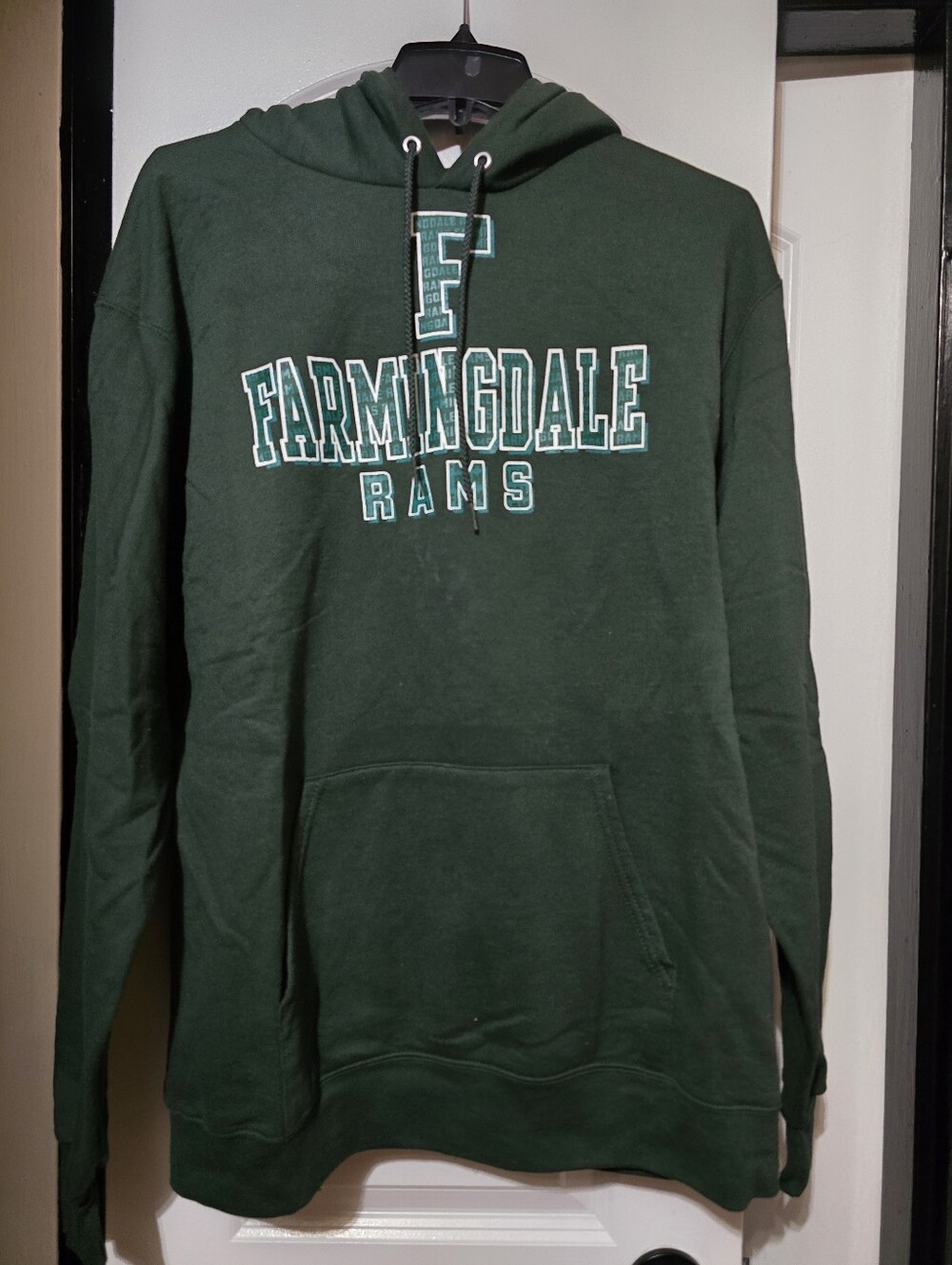 Champion Men's Dark Green Hoodie W Farmingdale Rams Printed - Size Large